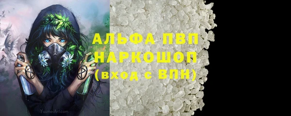 спиды Абаза