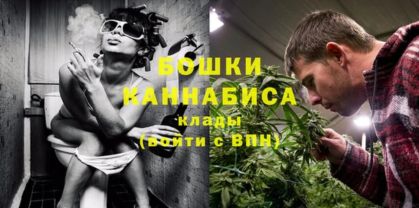 сатива Абдулино