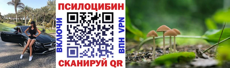 Галлюциногенные грибы Cubensis  Кизилюрт 